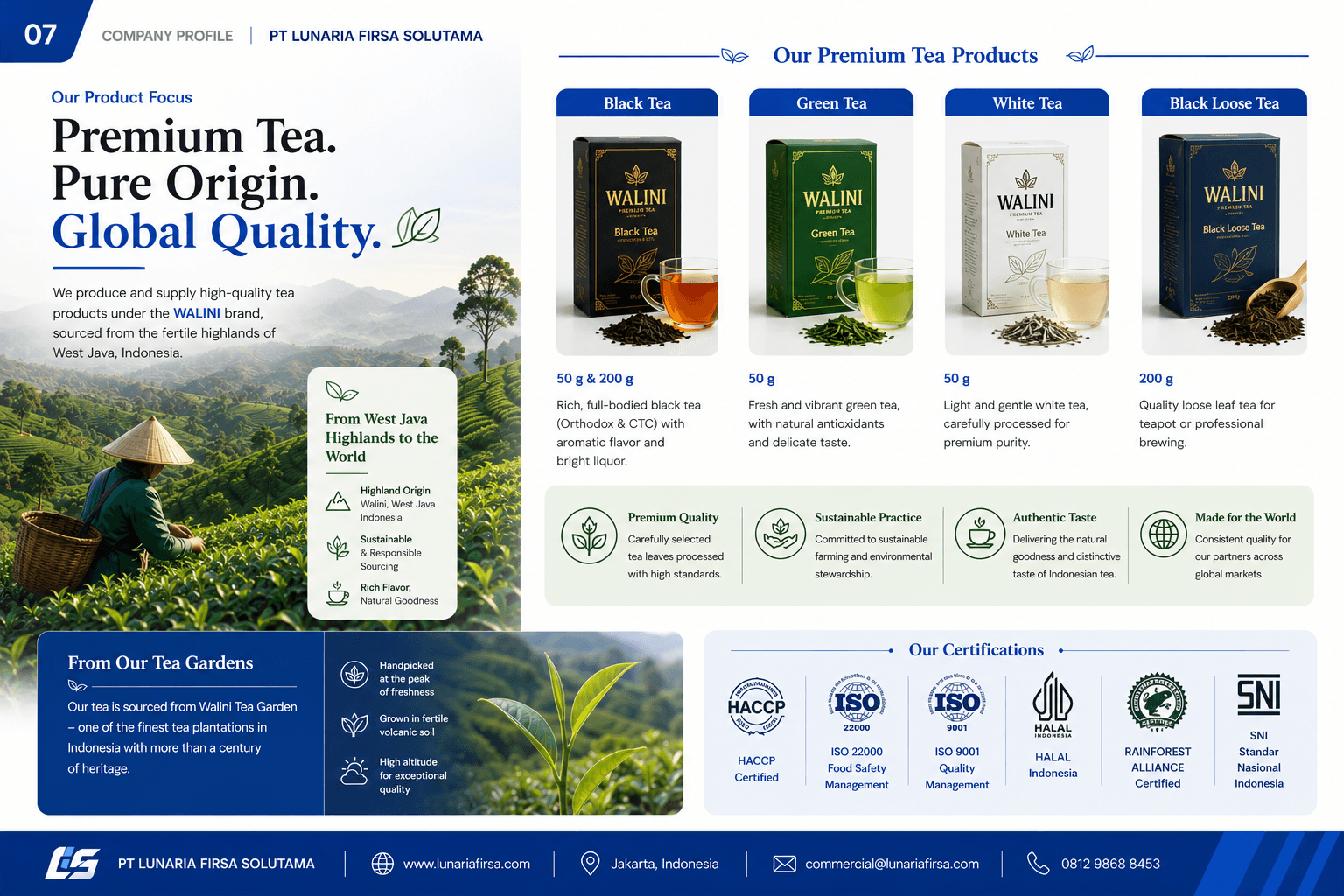 Premium Export Tea